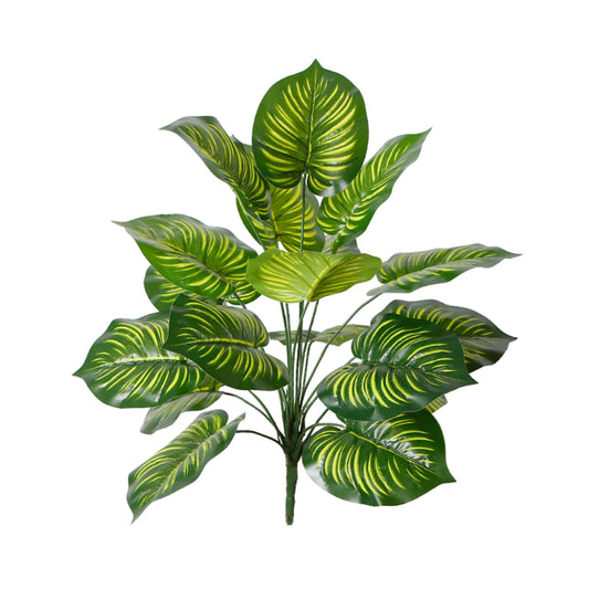 Artificial Calathea Plant for Office