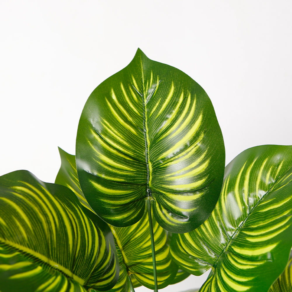 Artificial Calathea Plant for Office