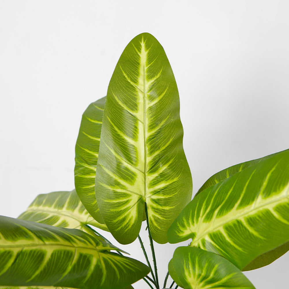 Artificial Calathea Plant for Home