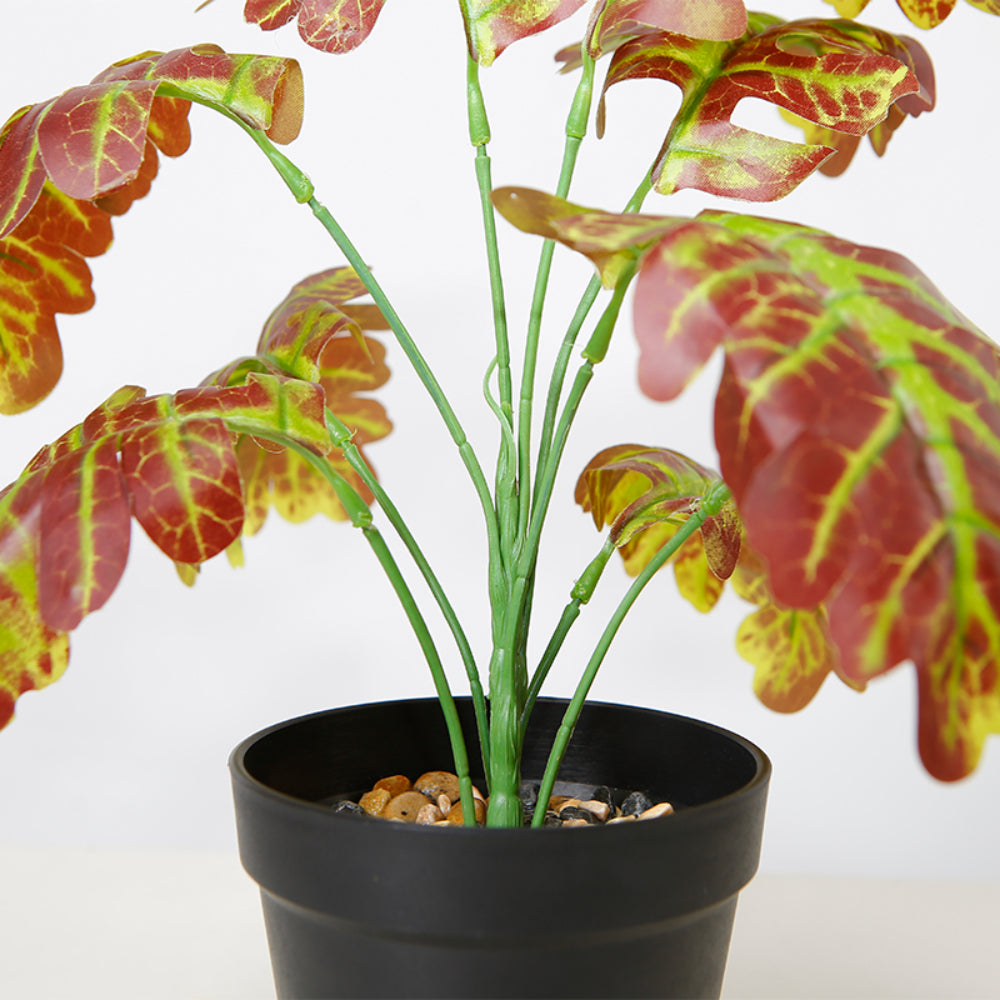 Artificial Calathea Plant