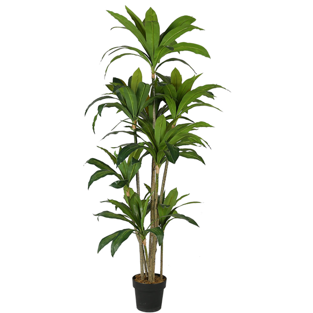 Artificial Cornstalk Dracaena Plant