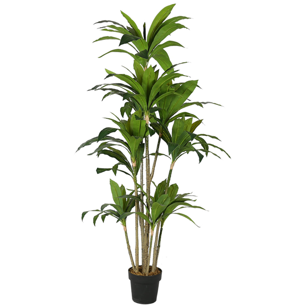 Artificial Cornstalk Dracaena Plant