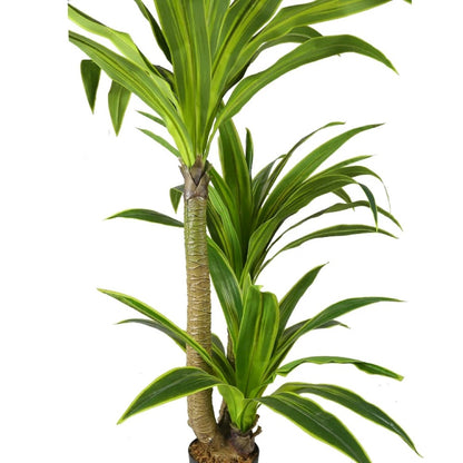 Artificial Cornstalk Dracaena Tree