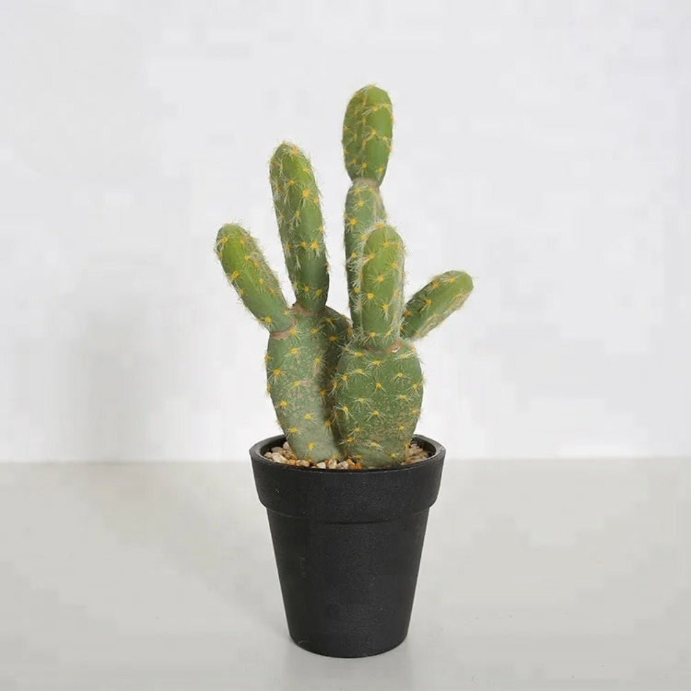 Artificial Desert Cactus Plant