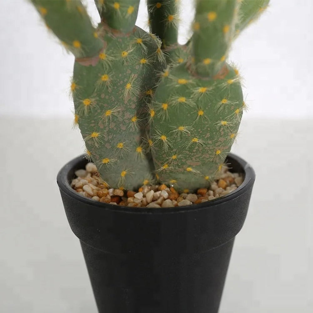 Artificial Desert Cactus Plant