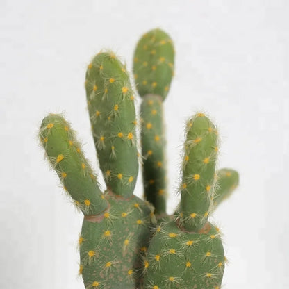 Artificial Desert Cactus Plant