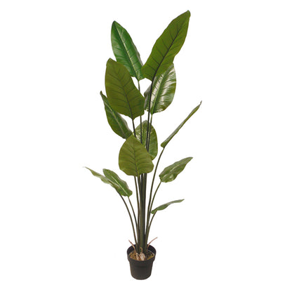 Artificial Dieffenbachia Plant