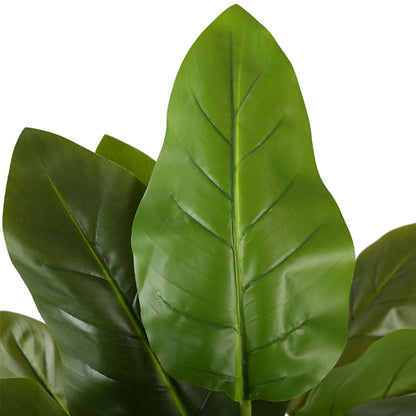 Artificial Dieffenbachia Plant