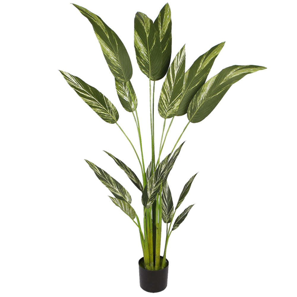 Artificial Dieffenbachia Plant for Home