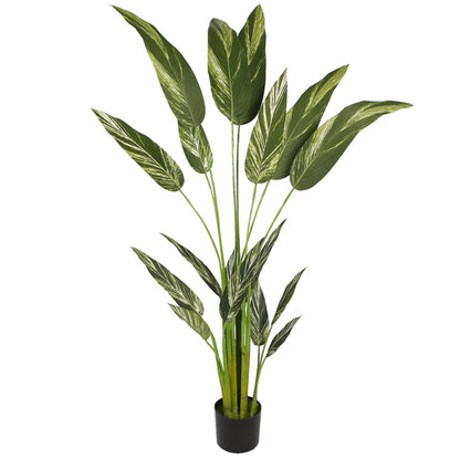 Artificial Dieffenbachia Plant for Home