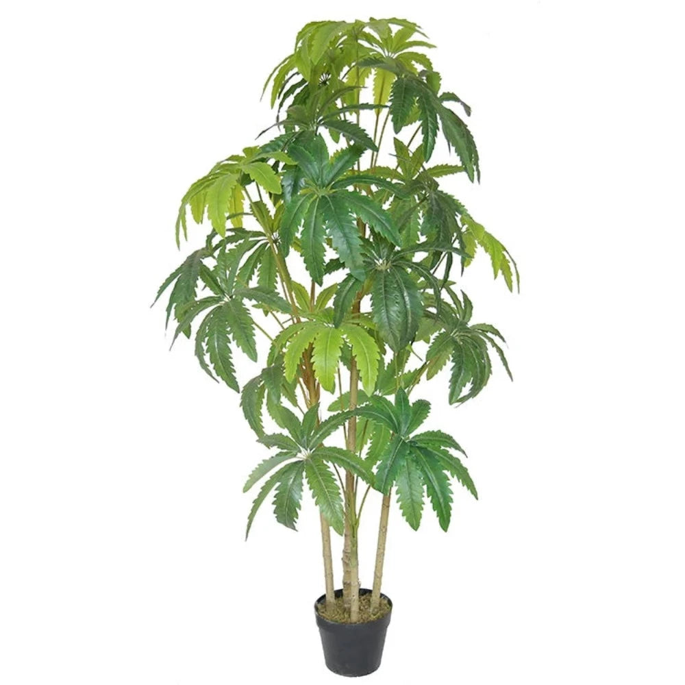 Artificial Dizygotheca Leaf Tree