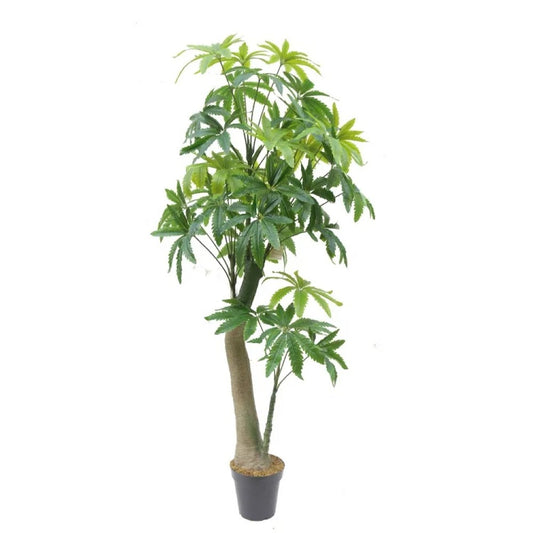 Artificial Dizygotheca Tree For Hotel