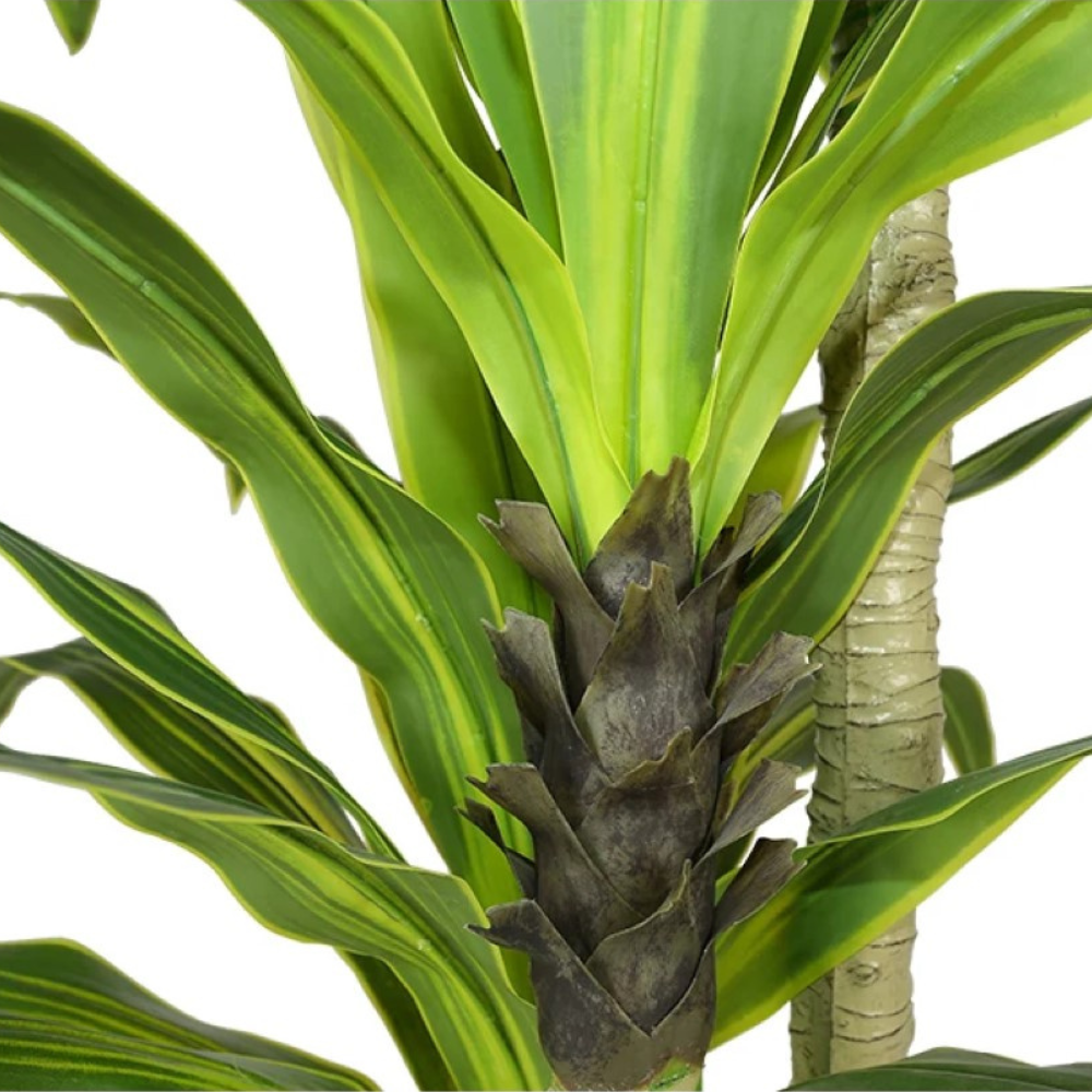 Artificial Dracaena Corn Plant