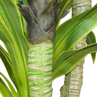 Artificial Dracaena Corn Plant