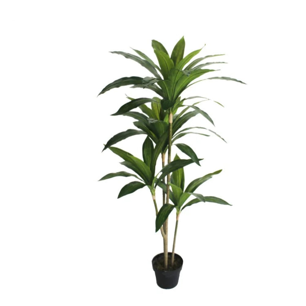 Artificial Dracaena Fragrans Plant for Indoor