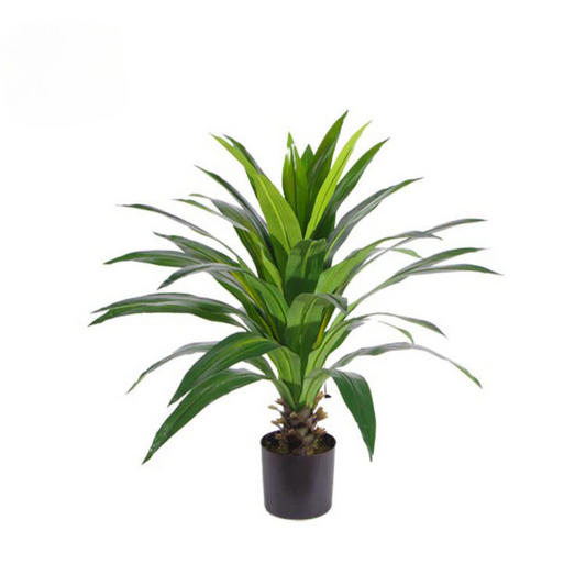 Dracaena Fragrans Artificial Plant