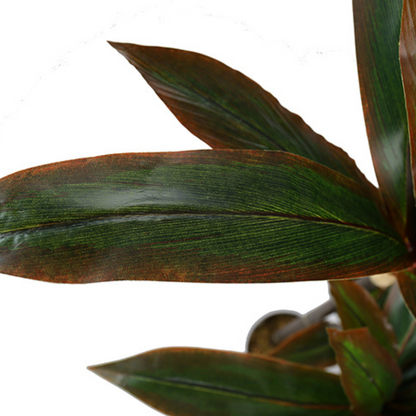 Artificial Dracaena Fragrans Decorative Plant