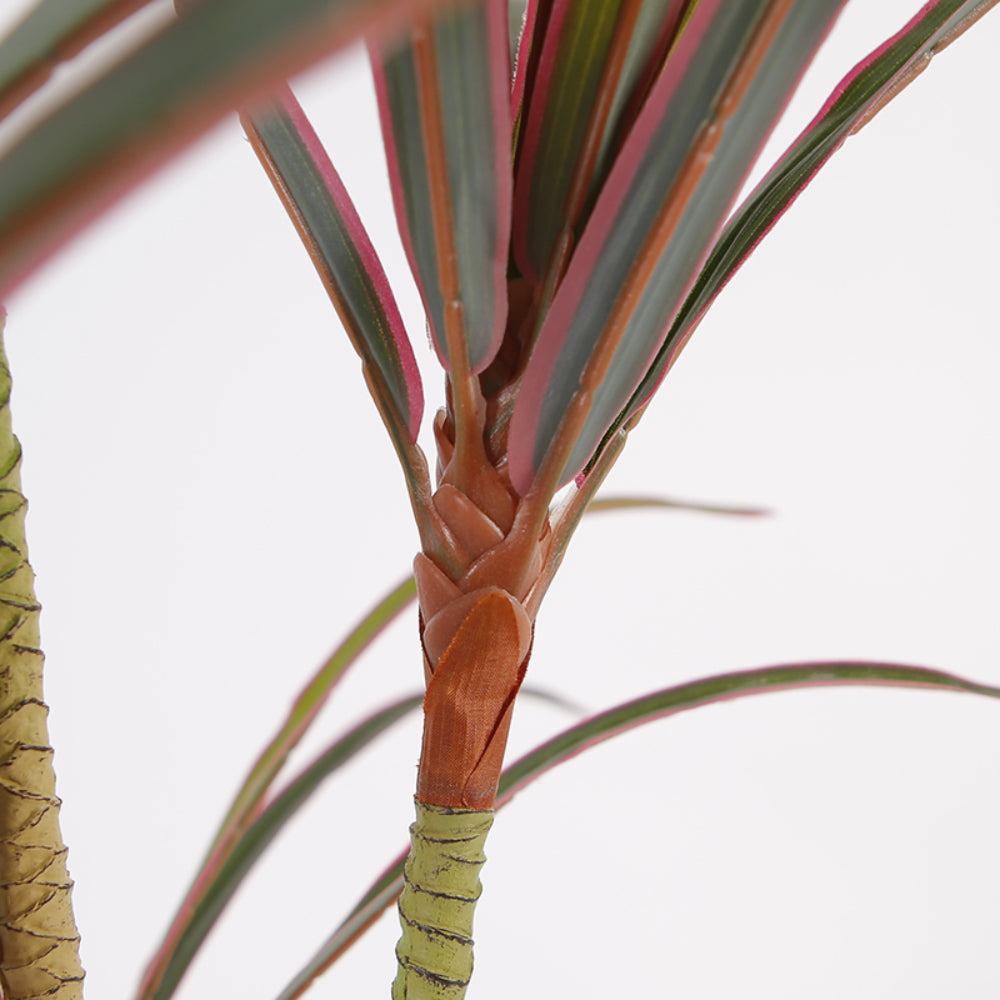 Artificial Dracaena Marginata Plant