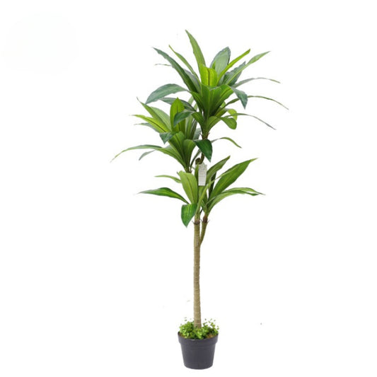 Artificial Dracaena Plant In Pot