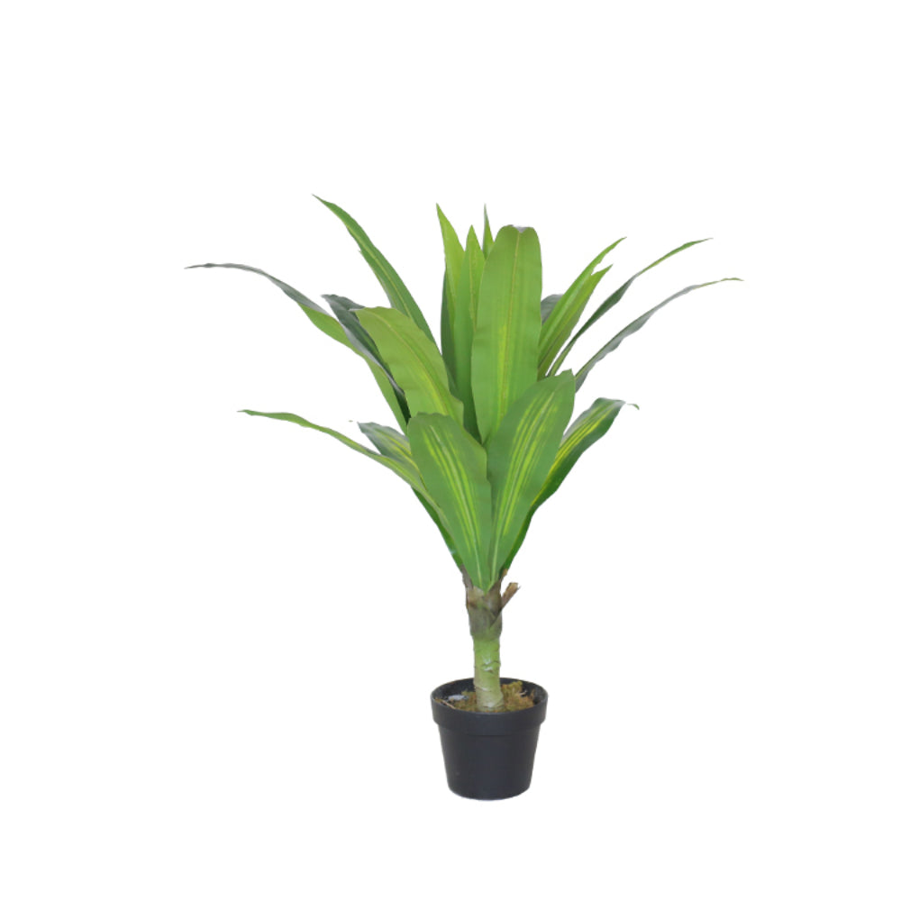 Artificial Dracaena Plant With Pot