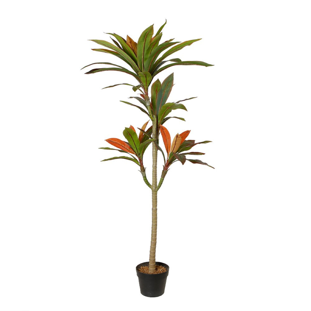 Artificial Dracaena Plant for Indoor