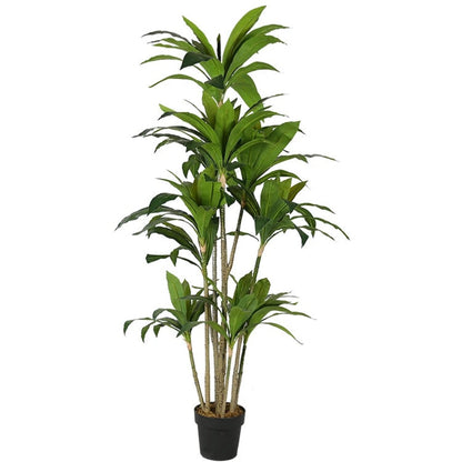 Dracaena Artificial Plant