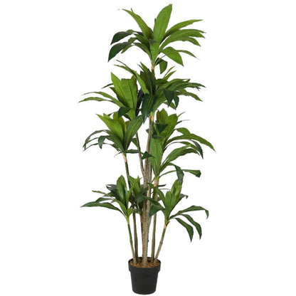 Dracaena Artificial Plant