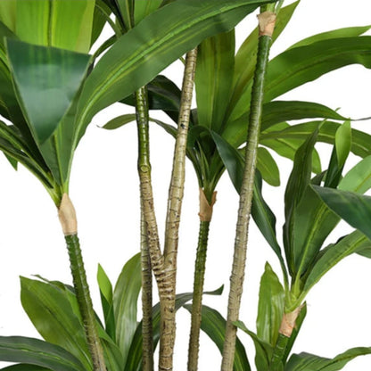 Dracaena Artificial Plant