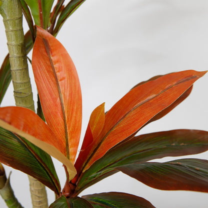 Artificial Dracaena Plant for Indoor