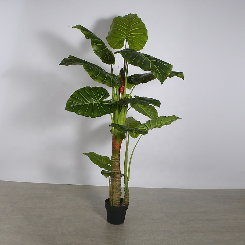 Artificial Dripping Guanyin Taro Plant