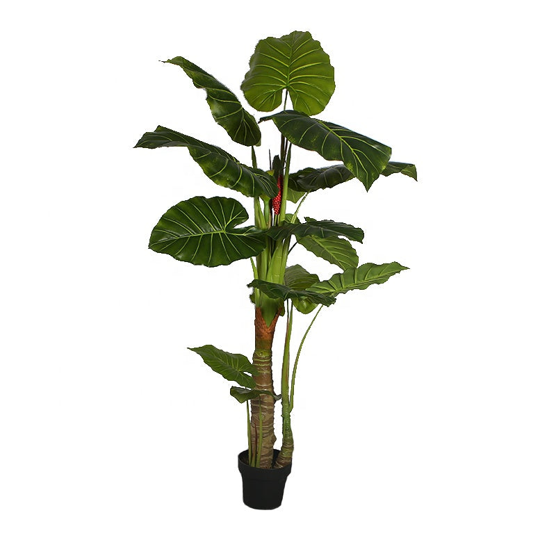 Artificial Dripping Guanyin Taro Plant