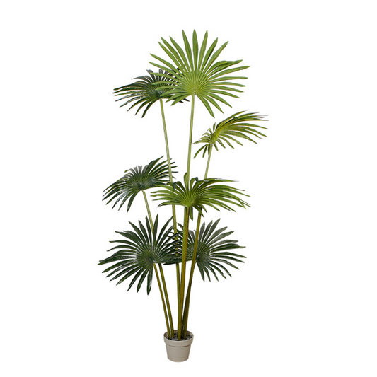 Artificial Fan Planter