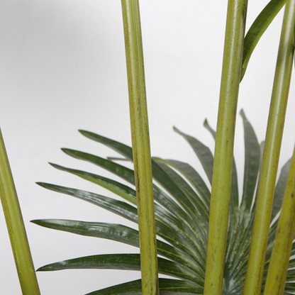 Artificial Fan Planter