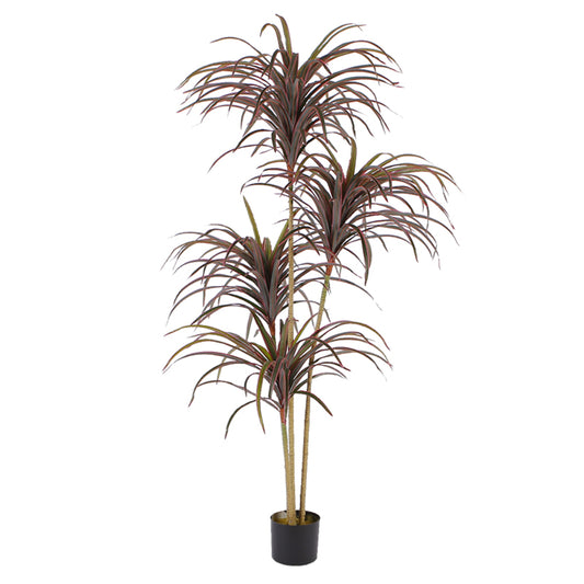 Faux Dracaena Tree