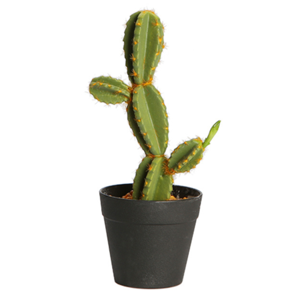 Artificial Faux Mini Cactus