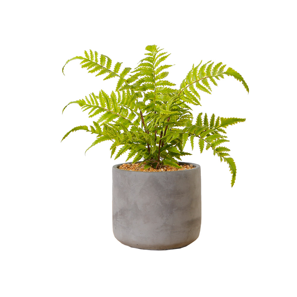 Artificial Fern Plant for Indoor