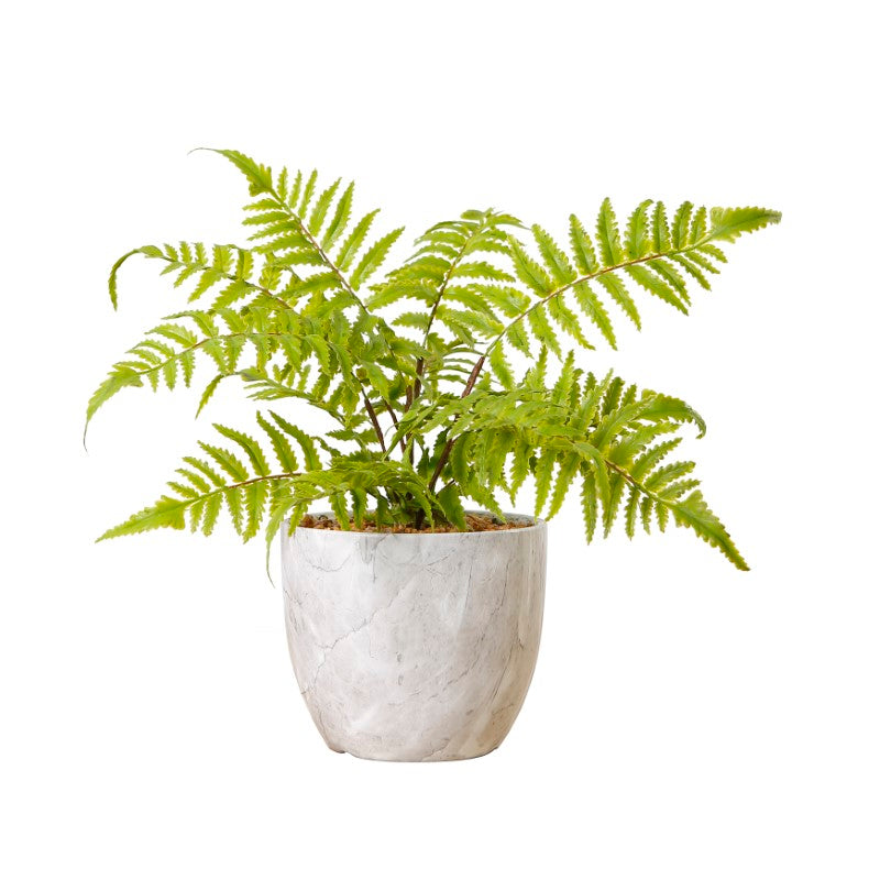 Artificial Fern Tree in Marble Pot