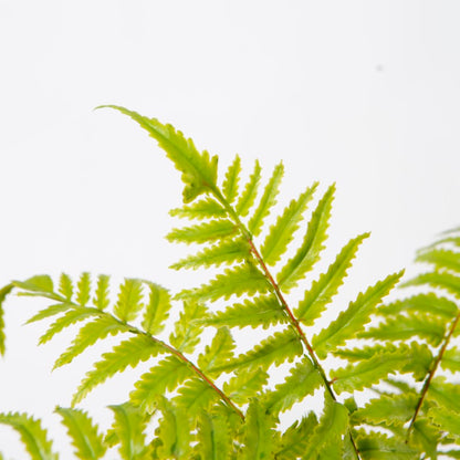 Artificial Fern Tree in Marble Pot