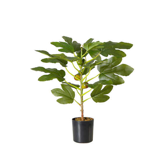 Artificial Ficus Carica Tree with Fruit