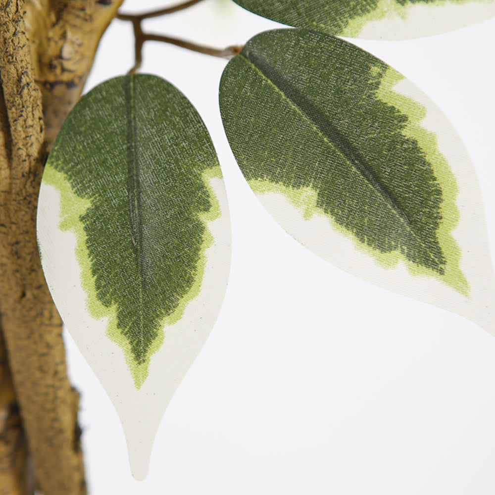 Artificial Ficus Tree With Variegated Leaves