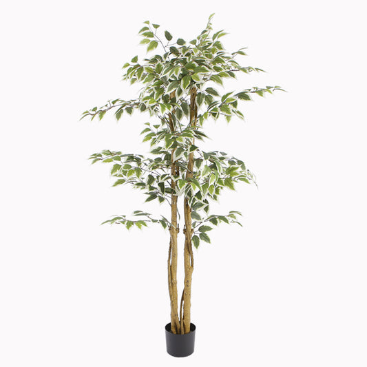 Artificial Ficus Tree With Variegated Leaves