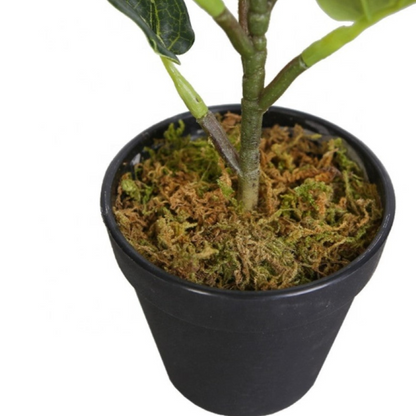 Artificial Fiddle Leaf Fig Plant