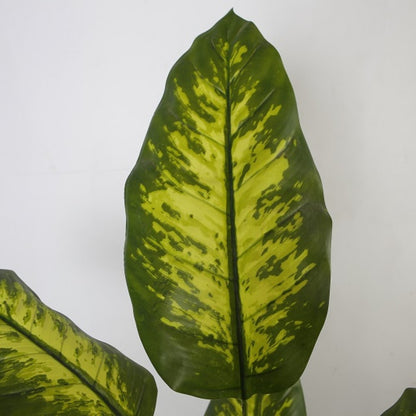 Artificial Dieffenbachia For Balcony