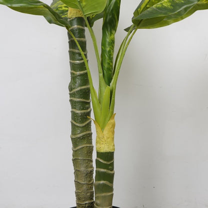 Artificial Dieffenbachia For Balcony