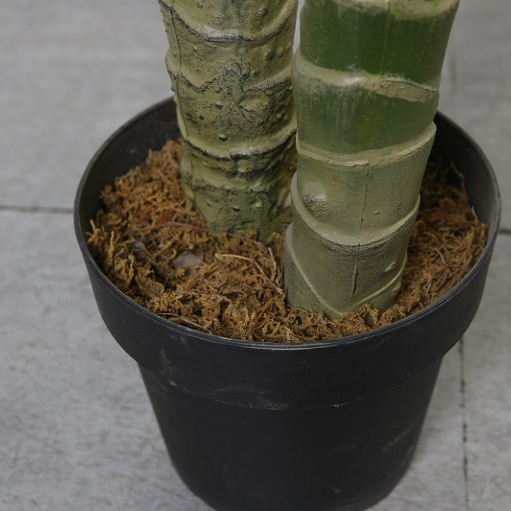 Artificial Dieffenbachia For Balcony