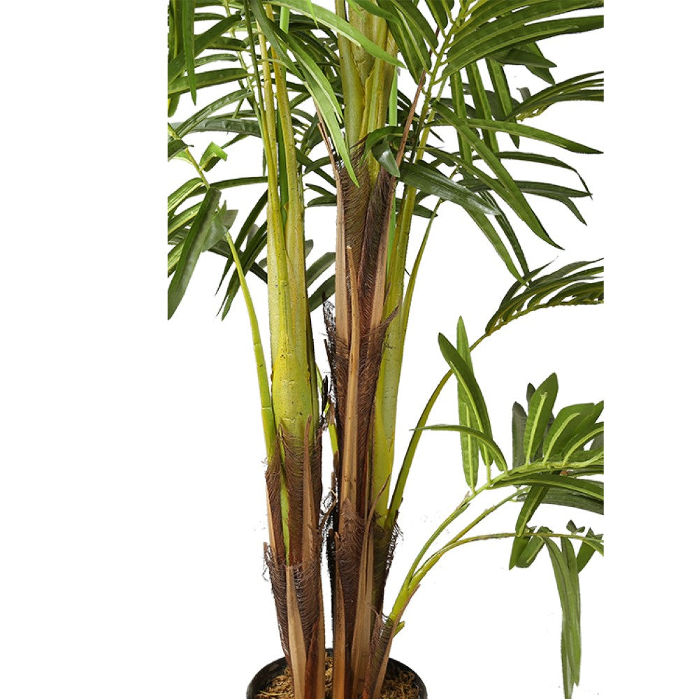 Artificial Areca Like Tree