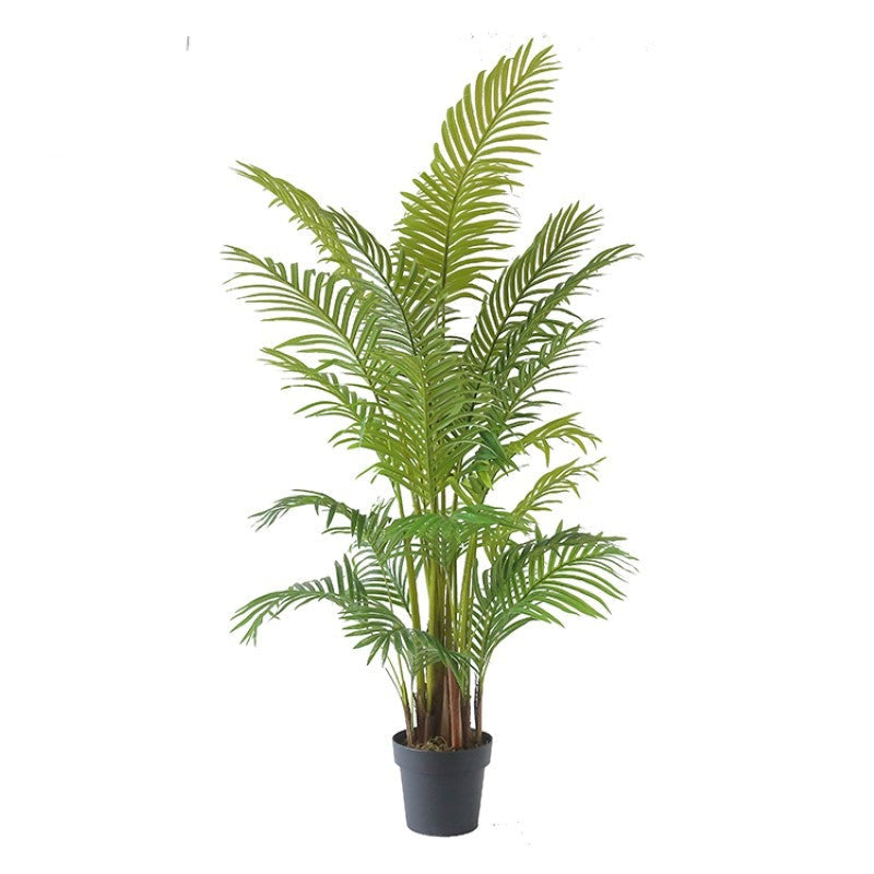 Artificial Kenyan Robellini For Garden Decor