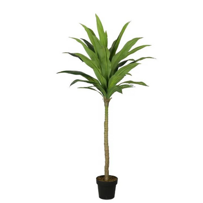 Artificial Leafy Dracaena Cornstalk Plant