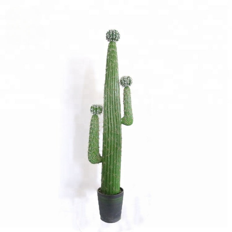 Artificial Mexico Cactus Plant