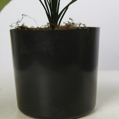 Artificial Mini Potted Plants